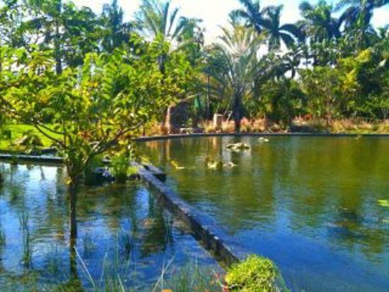 Jardín Botánico de Miami Beach